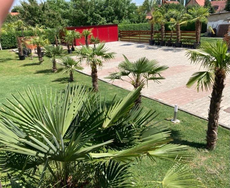 فندق Roze Vendeghaz فيلاني المظهر الخارجي الصورة